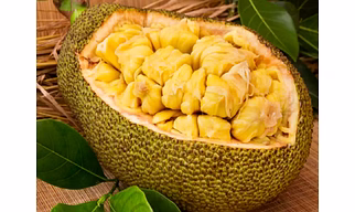 JACKFRUIT