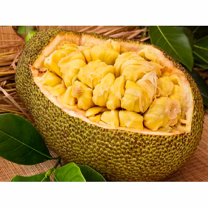 JACKFRUIT-12718089