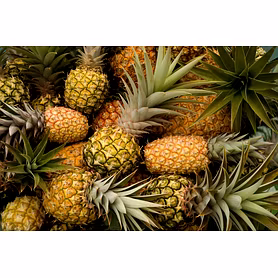 PINEAPPLE