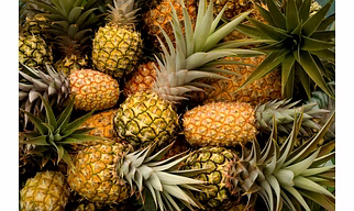PINEAPPLE