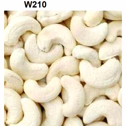 CASHEW KERNELS-3