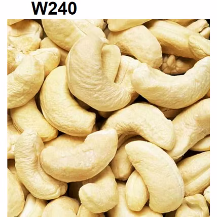 CASHEW KERNELS-5