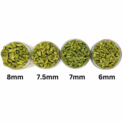 CARDAMOM-4