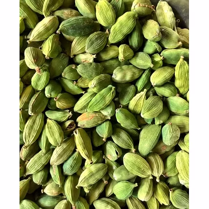CARDAMOM-5