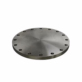 stainless steel blind flange