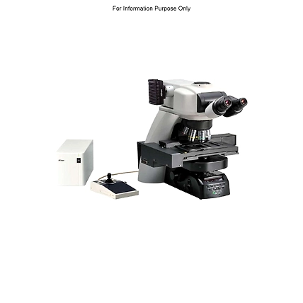 Nikon Eclipse FN1 Microscope-1