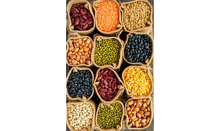 Pulses