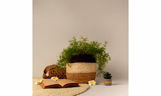 Tri Coloured Jute Planter
