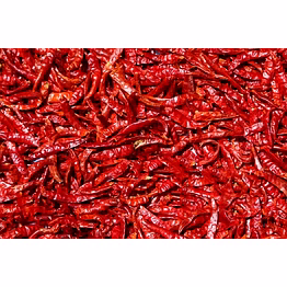 shubhlaxmi red chilli