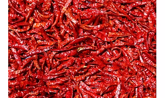 Red Chilli