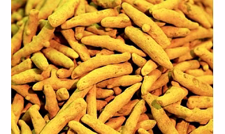 Turmeric