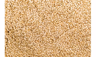 Sesame Seeds