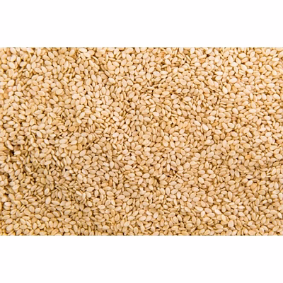 shubhlaxmi sesame seeds