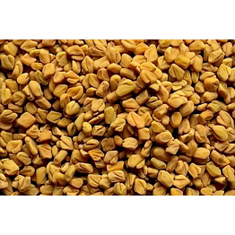 shubhlaxmi fenugreek seeds