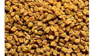 Fenugreek Seeds