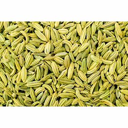 shubhlaxmi fennel seeds
