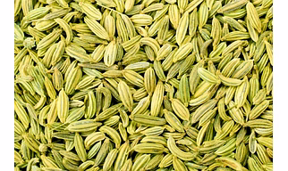 Fennel Seeds