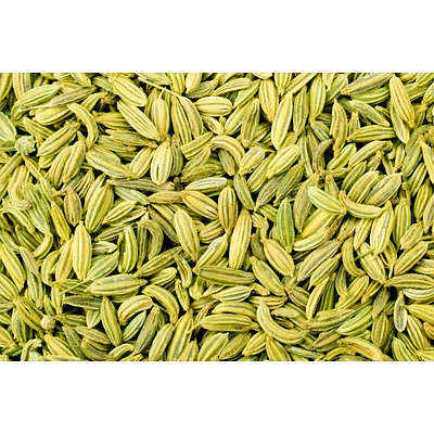 shubhlaxmi fennel seeds
