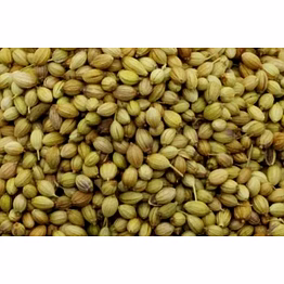 shubhlaxmi coriander seeds