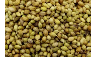 Coriander Seeds
