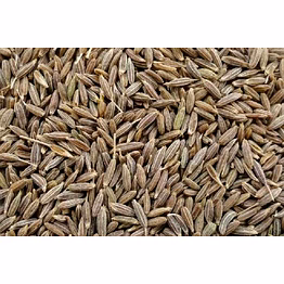 shubhlaxmi cumin seeds