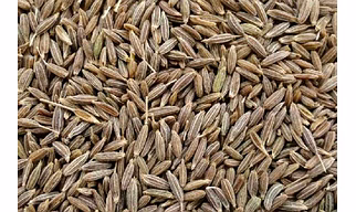Cumin Seeds