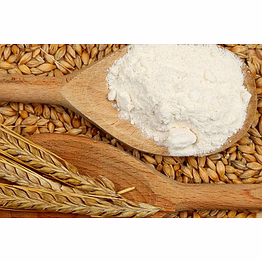 shubhlaxmi indian barley