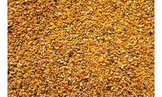 Roasted Guar Korma