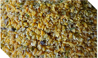 Guar Korma
