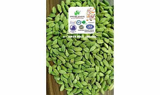 Cardamom green 8 m.m. bold