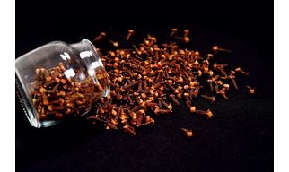 Clove