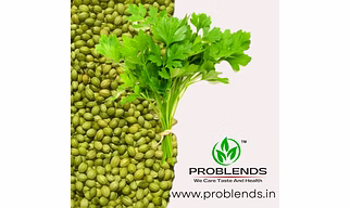 Green parrot type coriander whole