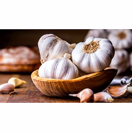 garlic white bulb