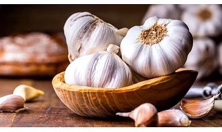 Garlic white bulb