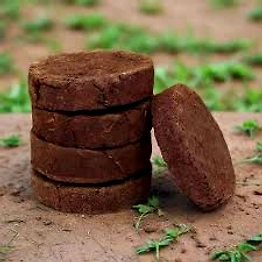 Cowdung cake
