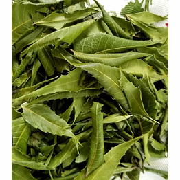 neem leaves