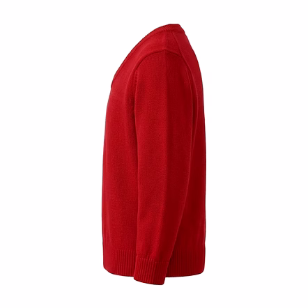 Unisex Long Sleeve V-Neck HS56702