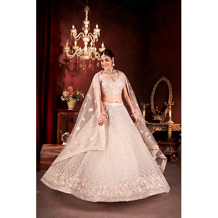 Designer Lehegha Choli-3