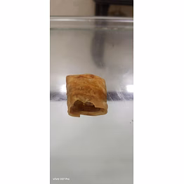 chinese samosa
