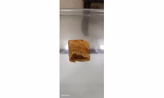Chinese samosa