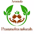 PRANASUTRA NATURALS-logo