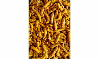 Fresh Turmeric Finger