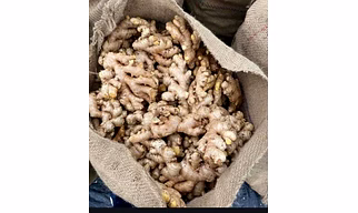Fresh Ginger