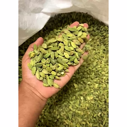 cardamom