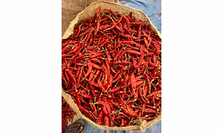 Red Chilli