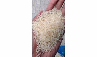 Basmati Rice 1121
