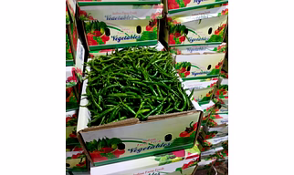 G4 fresh Green Chilli