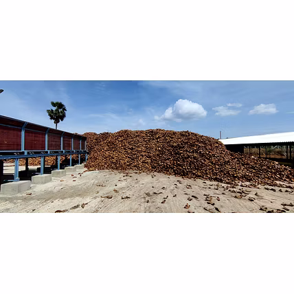 Coco Peat-6