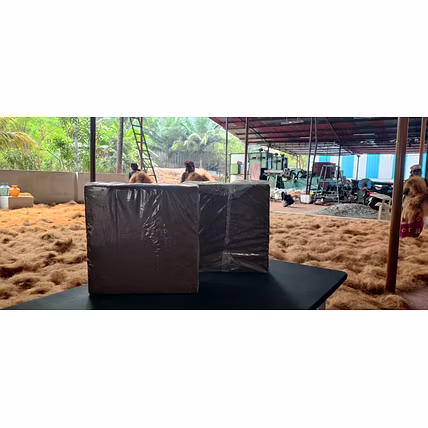 Coco Peat-12754563