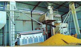 Z grain processing plant